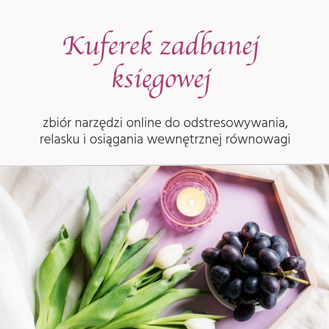 kuferek księgowej-okładka